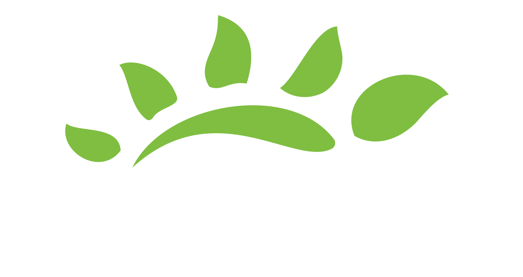 شركة بايارا العربية السعودية logo